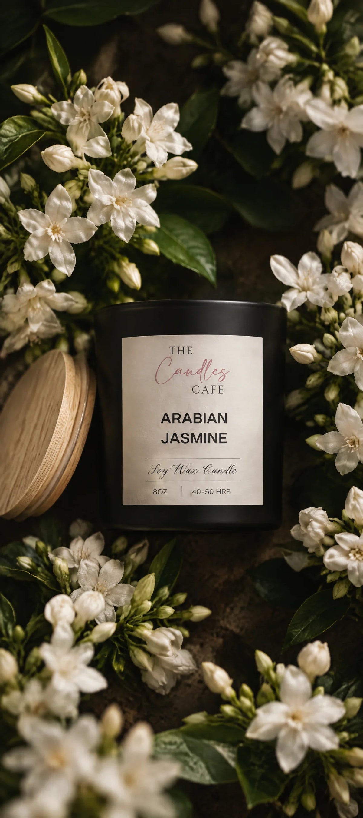 Arabian Jasmine
